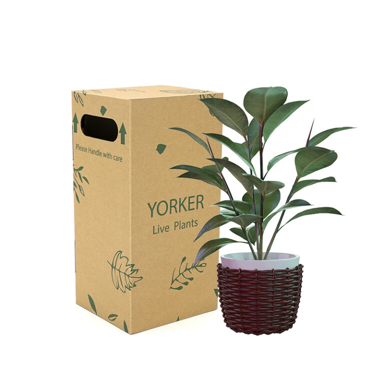 Sturdy plant shipping boxes with reinforced corners and breathable design for live botanicals.